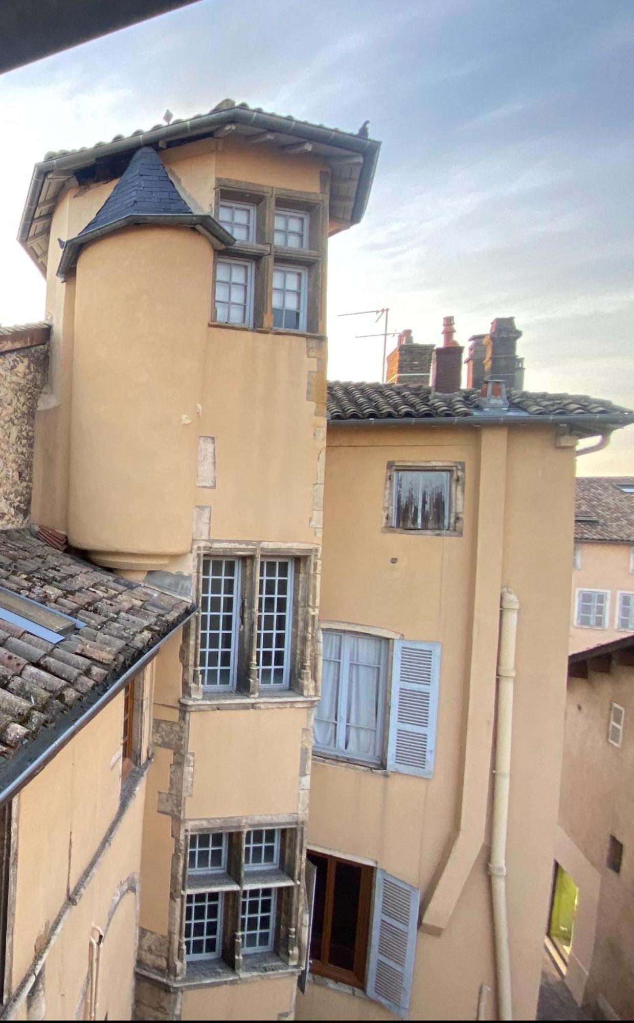 Appartements Centre Ville Villefranche-sur-Saône Eksteriør billede