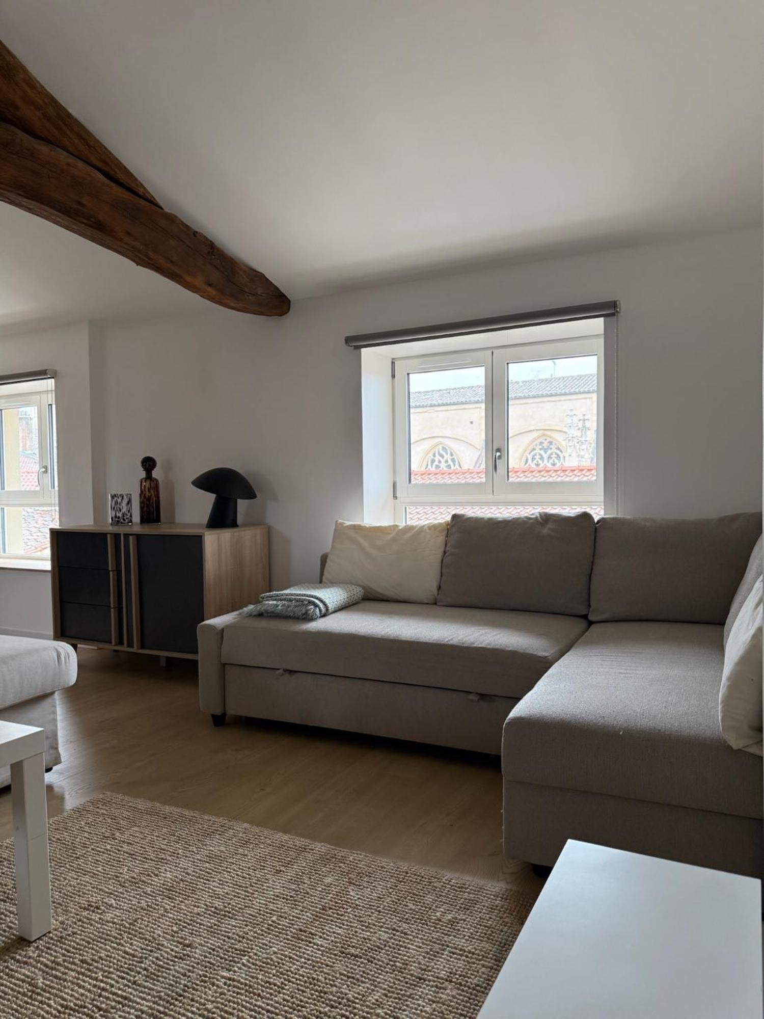 Appartements Centre Ville Villefranche-sur-Saône Eksteriør billede